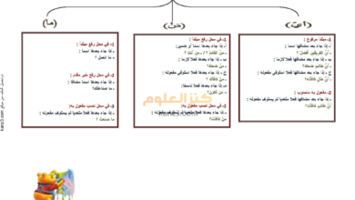 شرح درس إعراب أسلوب الاستفهام لغة عربية الثاني عشر الفصل الثاني