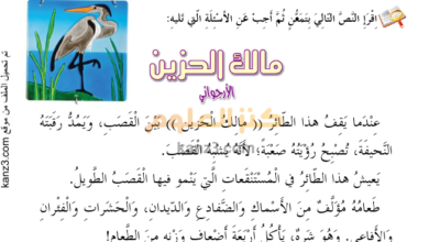 اختبار في فهم المقروء (قصة مالك الحزين) لغة عربية الصف الاول