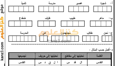 كراسة انشطة علاجية لمادة اللغة العربية للصف الرابع
