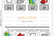 كتيب الإملاء المصور لغة عربية للصف الاول