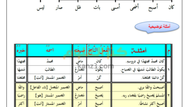 كتاب تدريس مهارات القراءة والكتابة لمادة اللغة العربية للصف الخامس الفصل الثاني