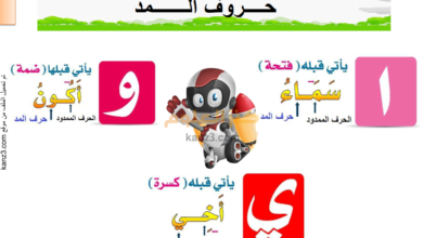 كتيب في مهارات اللغة العربية لطلاب الحلقة الاولى