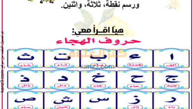 كراسة الفارس التأسيسية لمادة اللغة العربية لصفوف الحلقة الاولى