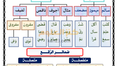 ملخص لقواعد النحو والصرف والاملاء للغة العربية للصف الثامن الفصل الثاني