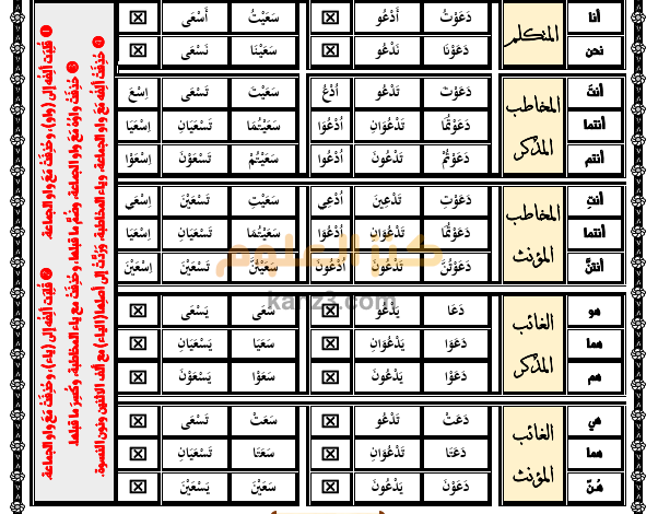 شرح قواعد اللغة العربية للصف الثامن الفصل الثاني مذكرة لغة الضاد