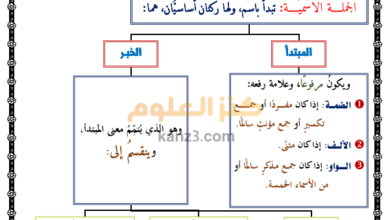 مذكرة لغة الضاد لشرح قواعد اللغة العربية للصف التاسع الفصل الثاني