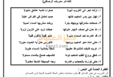 ملف تلخيص دروس اللغة العربية (النصوص الأدبية) للتاسع الفصل الثاني