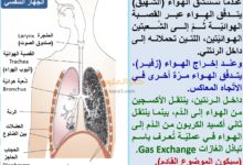 شرح درس الجهاز التنفسي للانسان لمادة العلوم للصف الثامن الفصل الثاني