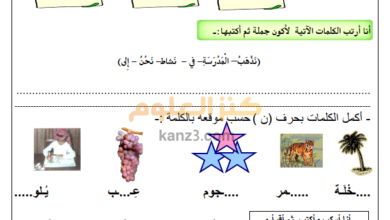 كتيب تدريبات وتمارين لغة عربية الصف الثاني الفصل الثاني
