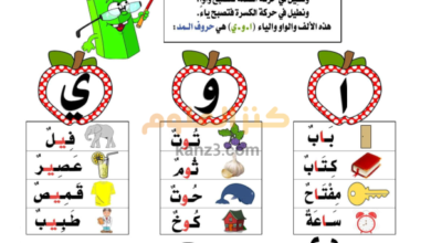 كتيب تأسيسي تعليمي لمادة اللغة العربية عن الحروف والمهارات الاساسية