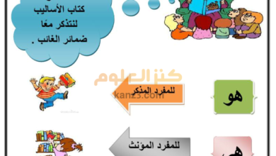 كتيب هيا بنا نفهم لتدريس اساسيات اللغة العربية لطلاب الحلقة الاولى