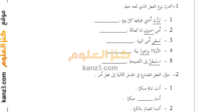 اختبار قصير في القواعد والتعبير للغة العربية للصف الرابع