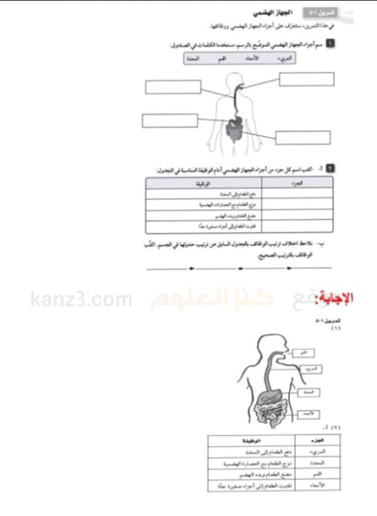 المسار الصحيح للغذاء في الجهاز الهضمي لأحد الحيوانات هو